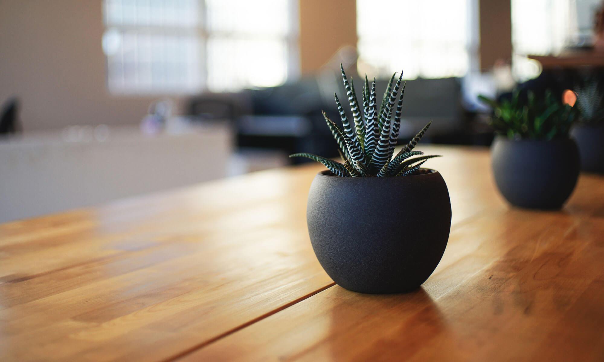 Thoughtful Solutions Consulting